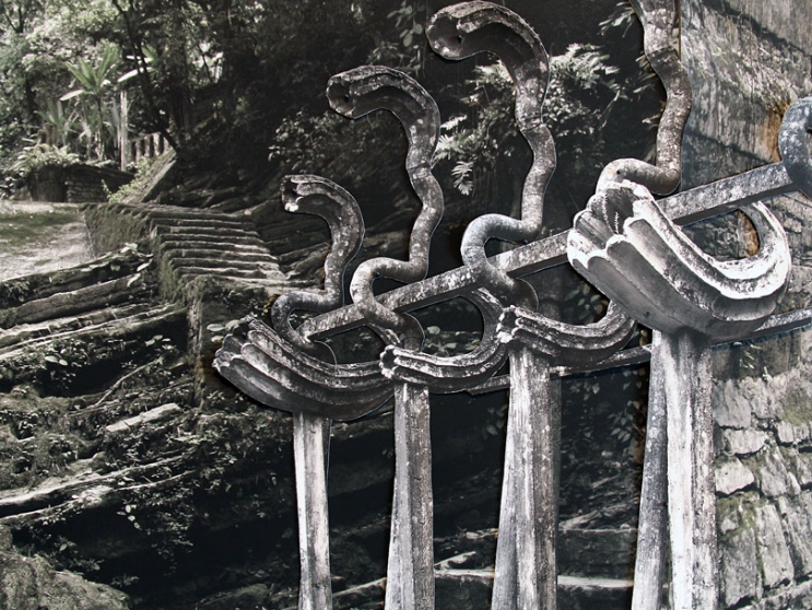 http://www.giuri.mirunadragan.com/files/gimgs/th-6_IMG_2470_Xilitla_W.jpg