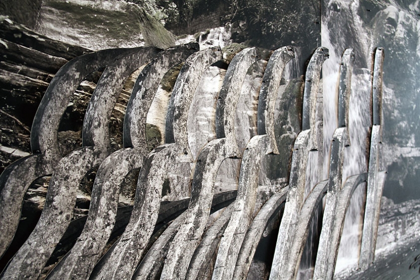 http://www.giuri.mirunadragan.com/files/gimgs/th-6_IMG_2473_Xilitla_W.jpg