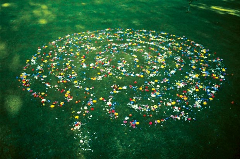 http://www.giuri.mirunadragan.com/files/gimgs/th-16_void2_1photo2.jpg