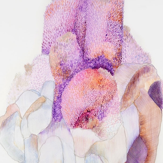 http://www.giuri.mirunadragan.com/files/gimgs/th-23_Erratics-Draw3-detail-web_v2.jpg