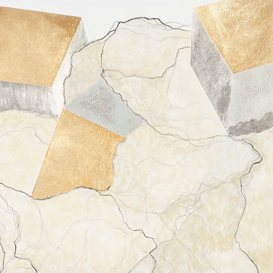 http://www.giuri.mirunadragan.com/files/gimgs/th-23_Erratics-Draw1-detail-web_v3.jpg