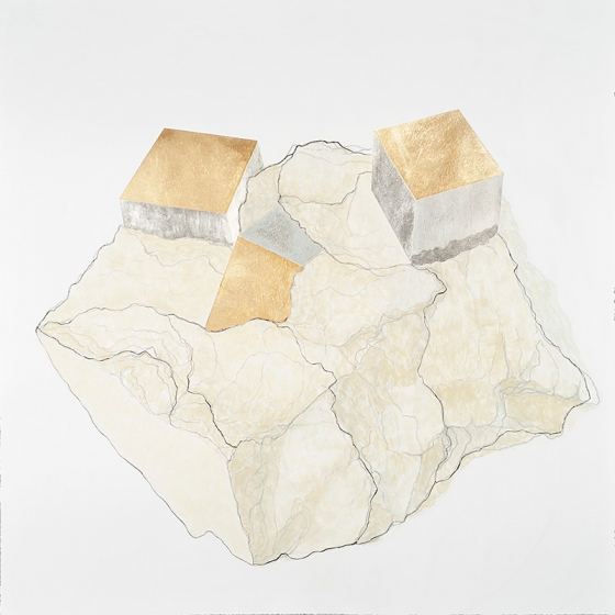 http://www.giuri.mirunadragan.com/files/gimgs/th-23_Erratics-Draw1-web_v3.jpg
