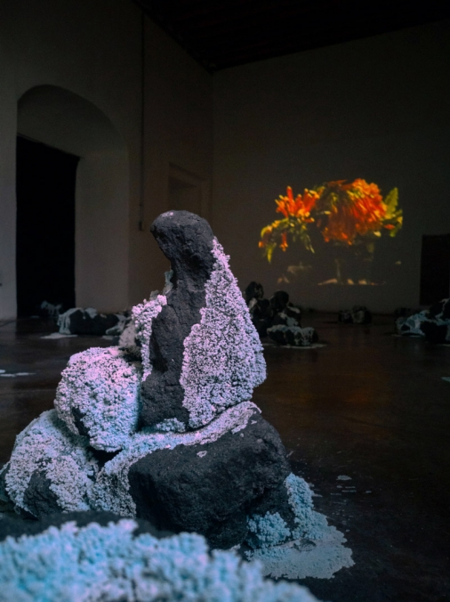 http://www.giuri.mirunadragan.com/files/gimgs/th-71_HGM-Coal-W_IMG_20220920_111751(1)_1.jpg