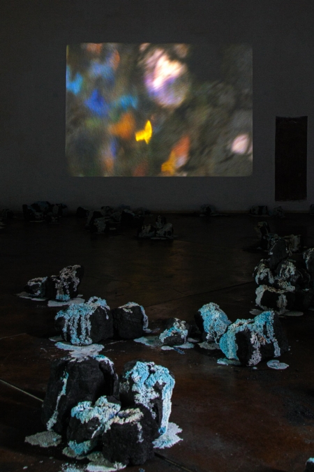 http://www.giuri.mirunadragan.com/files/gimgs/th-71_IMG_4018_W.jpg