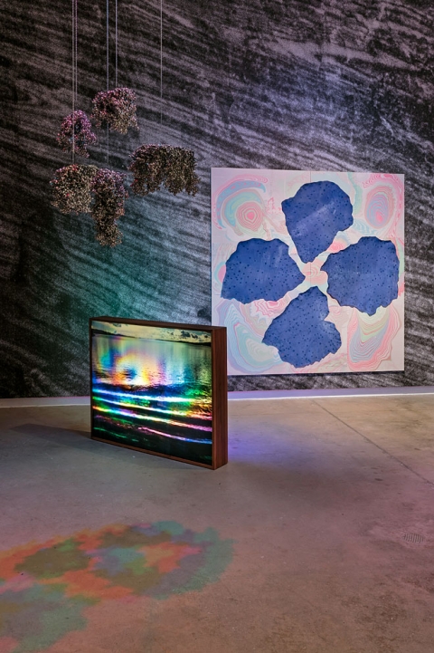 http://www.giuri.mirunadragan.com/files/gimgs/th-54_Untitled2_W.jpg